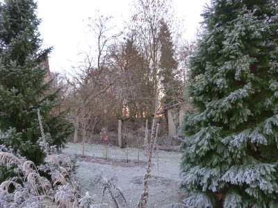 2016-12-05 Garteneinblick 3.jpg