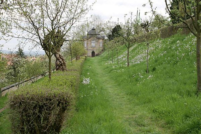 Traumweg-Bamberg-April.jpg