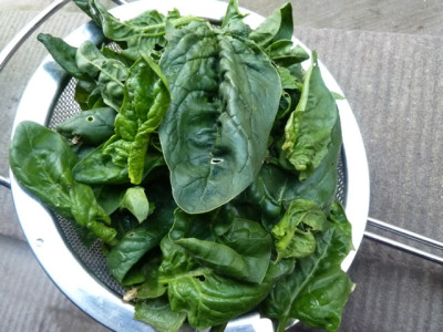 ernte_161204.jpg