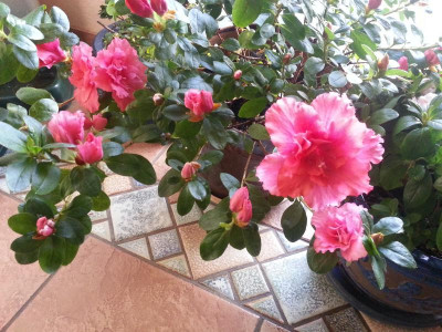 20161208_085226.jpg