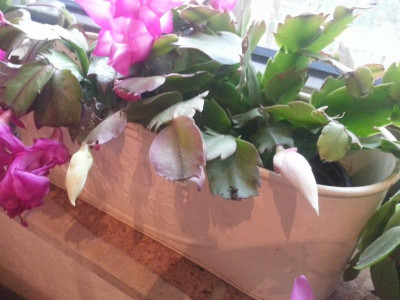 20161208_084058.jpg
