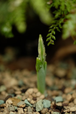DSCF0277_1882.JPG