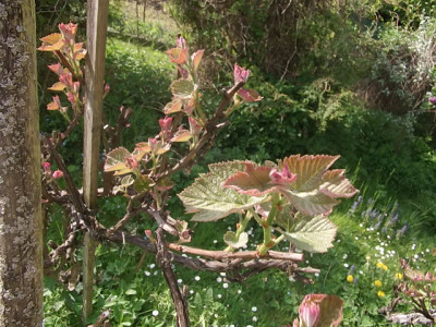 bilder1112 1222.jpg