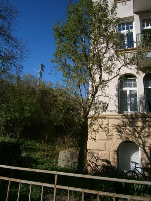 mandel 003.JPG