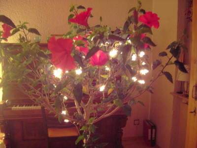 PICT1507.JPG