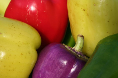Paprika-06-01.jpg