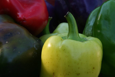 Paprika-06-02.jpg