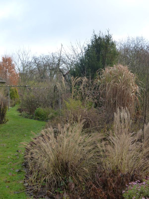 2016-11-27 Gartenimpressionen 2.jpg