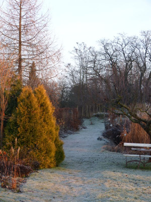 2016-12-16 Gartenimpressionen 11.jpg