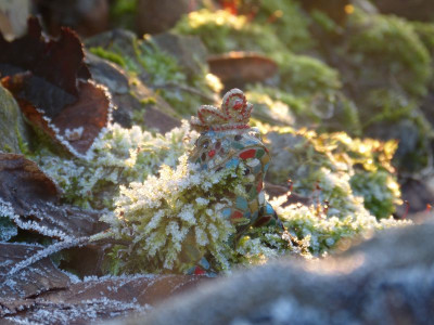 2016-12-17 Gartenimpressionen 7.jpg