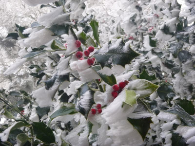 P1000479.JPG