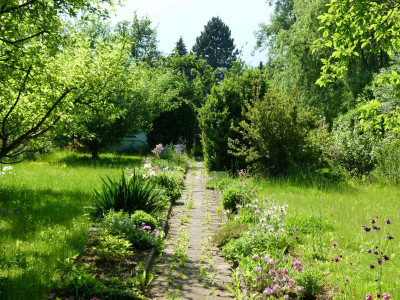 Garten verkl.P1020842.jpg