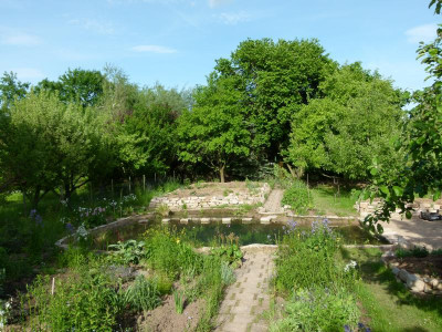 P1040305.JPG