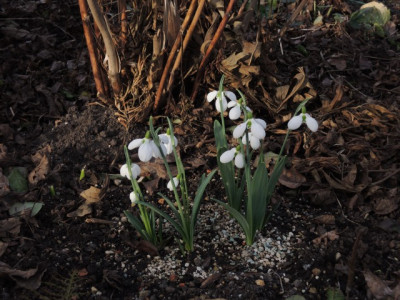 DSCN8868_1898.JPG