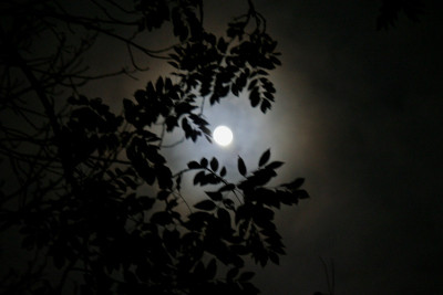 Vollmond-2.jpg