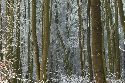 21.12.a.jpg