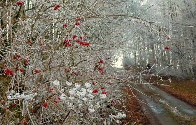 21.12.e.jpg