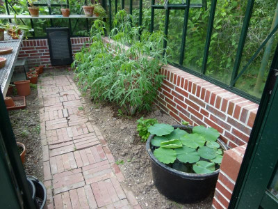 P1080781.JPG
