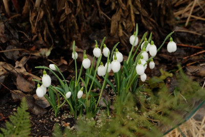 DSCF0498_1915.JPG