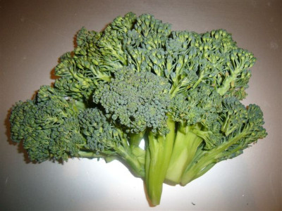 Broccoli.JPG