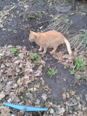 20161228_142725.jpg
