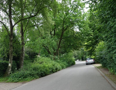 zukünftige Heimatstraße.jpg