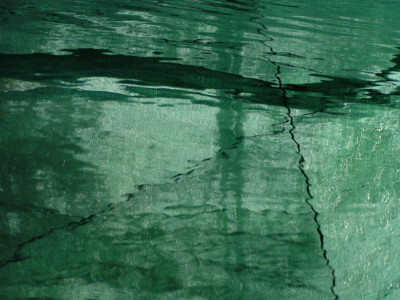 am_teich2.jpg