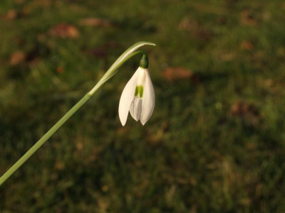 DSCF3537.JPG
