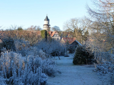 2016-12-31 Garteneinblick 1.jpg