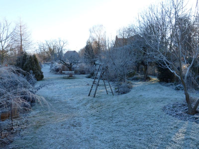 2016-12-31 Garteneinblick 2.jpg