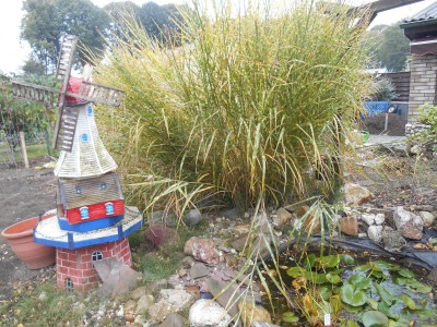 DSCN1107.JPG