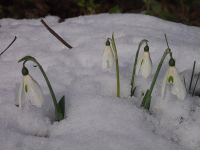 DSCF3554.JPG