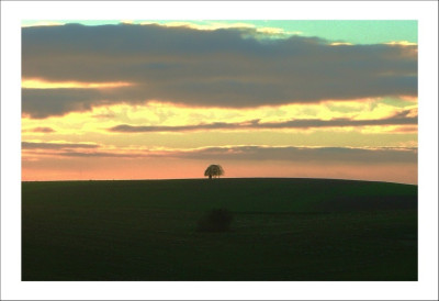 Morgenstimmung_1_12-11-05.jpg