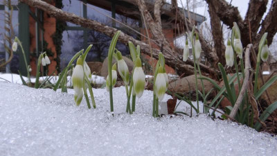 Schnee mit Glöckchen.JPG