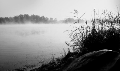 Nebeldonau-SW-3.jpg