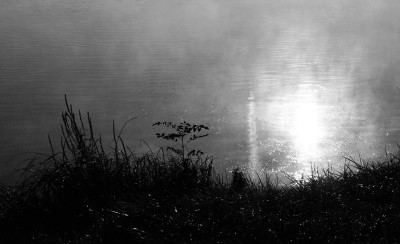 Nebeldonau-SW.jpg