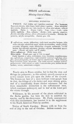 S. 68.jpg