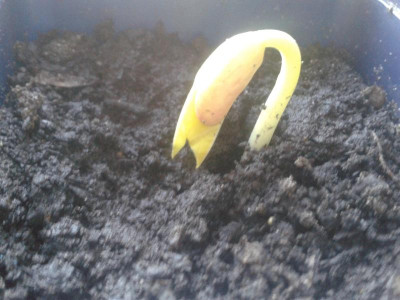 20170104_093538.jpg