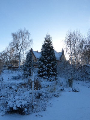 2017-01-05 Garteneinblick 2.jpg