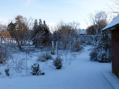 2017-01-05 Garteneinblick 3.jpg