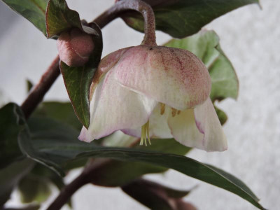 DSCN6317.JPG