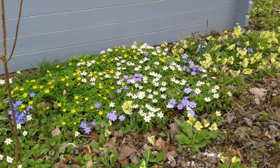 20160403_125742.jpg