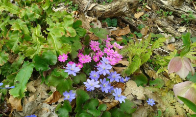 20160403_125618.jpg