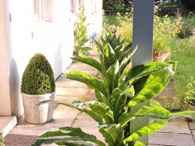 DSCN4910.JPG