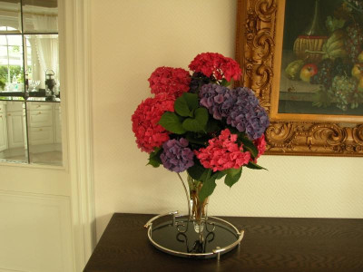 Hortensien in Vase.jpg