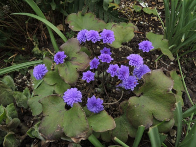 DSCN9884_1932.JPG
