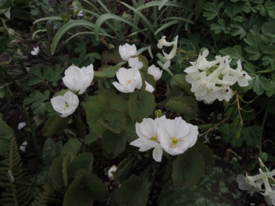 DSCN9956_1930.JPG