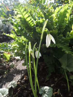 DSCN2213_1933.JPG