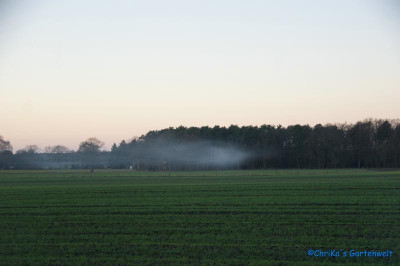 comp_DSC06093.jpg