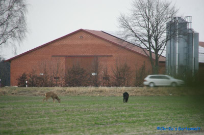 comp_DSC06094.jpg